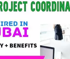 IT Project Coordinator Required in Dubai