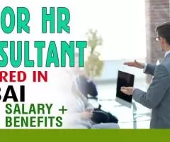 Senior HR Consultant Required in Dubai