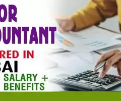 Senior Accountant Required in Dubai