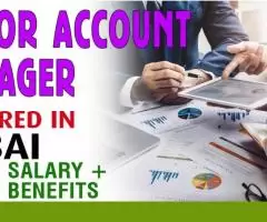 Junior Account Manager Required in Dubai