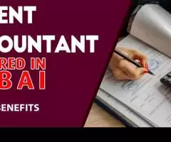 Urgent Accountant Required in Dubai