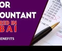 Senior Accountant Required in Dubai