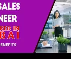 Pre-Sales Engineer Required in Dubai