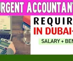 Urgent Accountant Required in Dubai