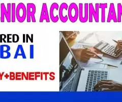 Senior Accountant Required in Dubai