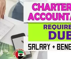 Chartered Accountant Required in Dubai