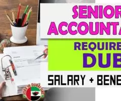 Senior Accountant Required in Dubai