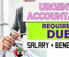 Urgent Accountant Required in Dubai