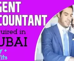 Urgent Accountant Required in Dubai