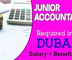 Junior Accountant Required in Dubai