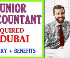 Junior Accountant Required in Dubai