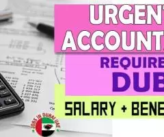 Urgent Accountant Required in Dubai