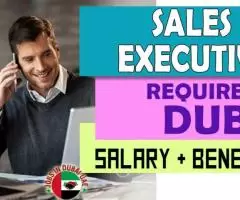 Sales Executive Required in Dubai