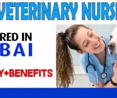 Veterinary Nurse Required in Dubai