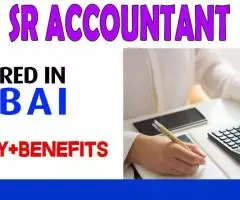 Sr Accountant Required in Dubai