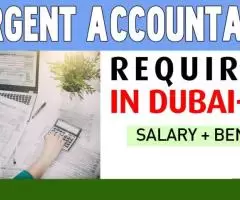 Urgent Accountant Required in Dubai