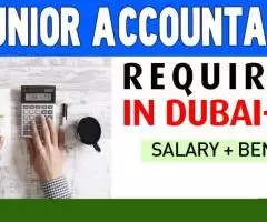 Junior Accountant Required in Dubai