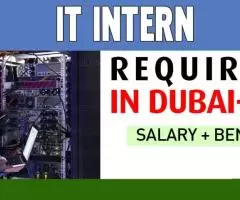 Information Technology Intern Required in Dubai