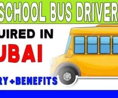 School Bus Driver Required in Dubai