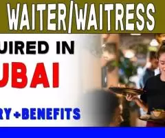 Waiter/Waitress Required in Dubai