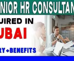 Junior HR Consultant Required in Dubai