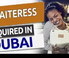 Waitress Required in Dubai