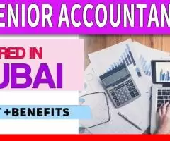 Senior Accountant Required in Dubai