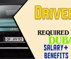 Driver Required in Dubai