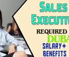 Sales Executive Required in Dubai