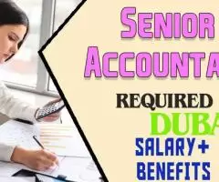 Senior Accountant Required in Dubai