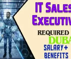 IT Sales Executive Required in Dubai