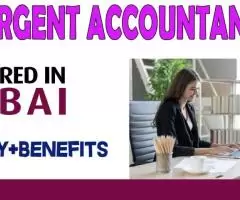 Urgent Accountant Required in Dubai