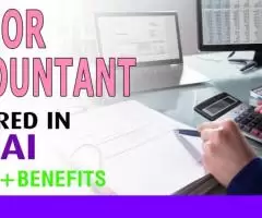 Senior Accountant Required in Dubai