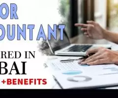 Junior Accountant Required in Dubai