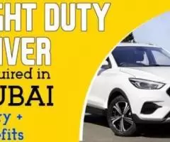 LIGHT DUTY DRIVER Required in Dubai