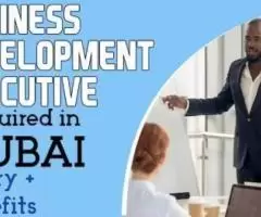 Business Development Executive Required in Dubai