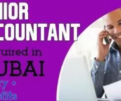 Junior Accountant Required in Dubai