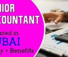 Senior Accountant Required in Dubai