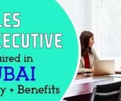 Sales Executive Required in Dubai