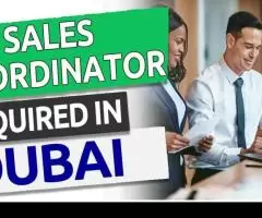 Sales Coordinator Required in Dubai