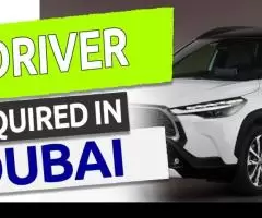 DRIVER Required in Dubai