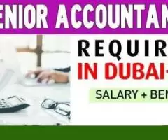 Senior Accountant Required in Dubai