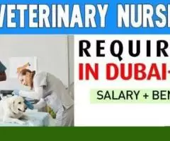 Veterinary Nurse Required in Dubai