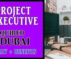 Project Executive Required in Dubai