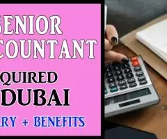 Senior Accountant Required in Dubai