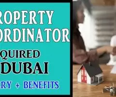 Property Coordinator Required in Dubai