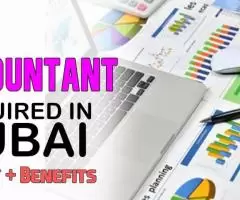 Van Accountant Required in Dubai