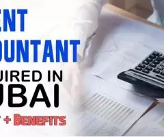 Urgent Accountant Required in Dubai