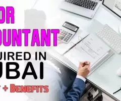 Junior Accountant Required in Dubai