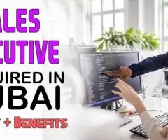 IT Sales Executive Required in Dubai